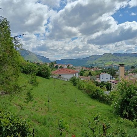 Gite Des Grands Causses Мийо Екстериор снимка